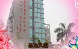卓鹰公司概况