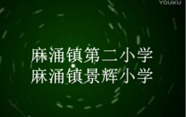 麻涌二小、景辉小学少先队干部团队拓展活动